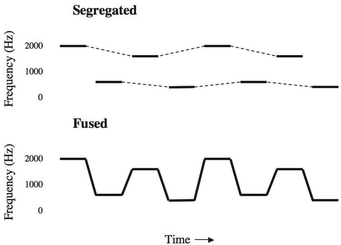 Figure 10.10 How smooth frequency glides help fuse pure tones with different frequencies into a single perceptual stream. The top panel shows how alternating high and low tones (thick lines) form two perceptual streams (the perception is indicated by the dotted lines). When smooth frequency transitions (sloping thick lines in the bottom panel) connect the tones, they are combined by the auditory system into a single perceptual stream. Based on Bregman and Dannenbring (1973).