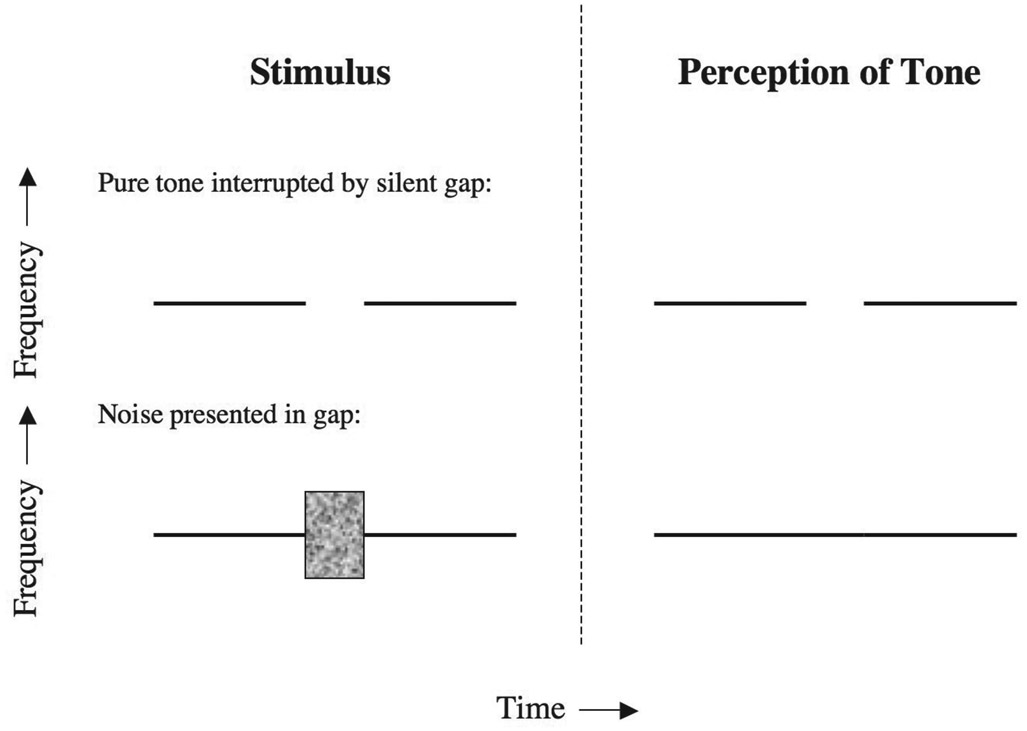 Figure 10.11 The continuity illusion. If a gap in a stimulus (e.g., a pure tone) is filled with another, more intense, stimulus (e.g., a band of noise) that would have masked the tone in the gap if the tone really had been continuous, then the tone is perceived as being continuous.