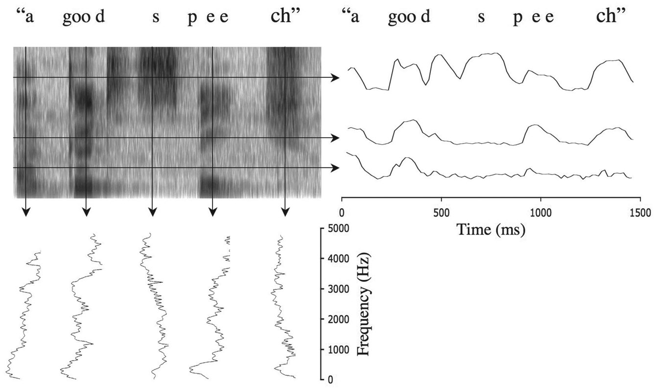 Figure 11.10 An illustration of the spectral and temporal information in the speech signal. The top left panel shows the spectrogram for the utterance “a good speech.” The spectrogram covers 1.5 seconds and 0–5000 Hz. The bottom left panel shows the spectrum of the speech at different times. For each plot, level increases from right to left. Notice the broad peaks corresponding to formants during the vowel sounds and the increase in high-frequency energy during the “s” and “ch” sounds. The top right panel shows the temporal envelope of the speech (the level changes as a function of time) in different frequency bands centered on 1000, 2000, and 4000 Hz. Although the envelope varies between frequency regions, providing information about formant transitions among other things, the stop consonants (/d/ and /p/) result in dips in level across all frequency regions.