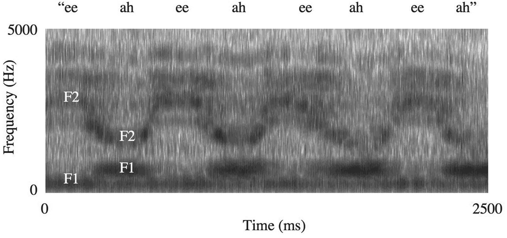 Figure 11.4 A spectrogram for the utterance “ee-ah-ee-ah-ee-ah-ee-ah.” The frequency transitions of the second formant are represented by the dark band oscillating up and down the vertical frequency axis. This image, and the other nonschematic spectrograms in the chapter, were generated using the marvelous Praat program written by Paul Boersma and David Weenink (www.praat.org).