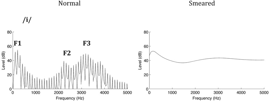 Figure 11.9 The spectrum for the vowel /i/, shown unprocessed (left panel) and spectrally smeared to simulate auditory filters six times broader than normal (right panel). Although the spectral information is severely degraded, smeared speech is intelligible in the absence of interfering sounds.