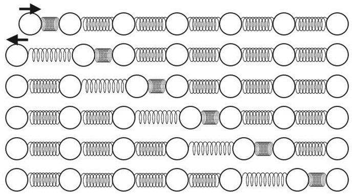 Figure 2.1 The propagation of a disturbance along a line of golf balls linked by springs. Seven successive time frames are shown from top to bottom.