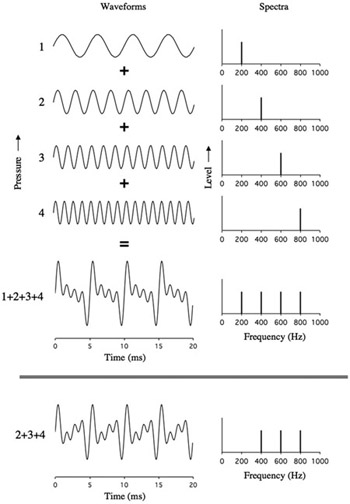 Figure 2.13 An illustration of how a complex tone can be made by adding together pure tones at harmonic frequencies. The bottom panel shows the effect of removing the fundamental component.