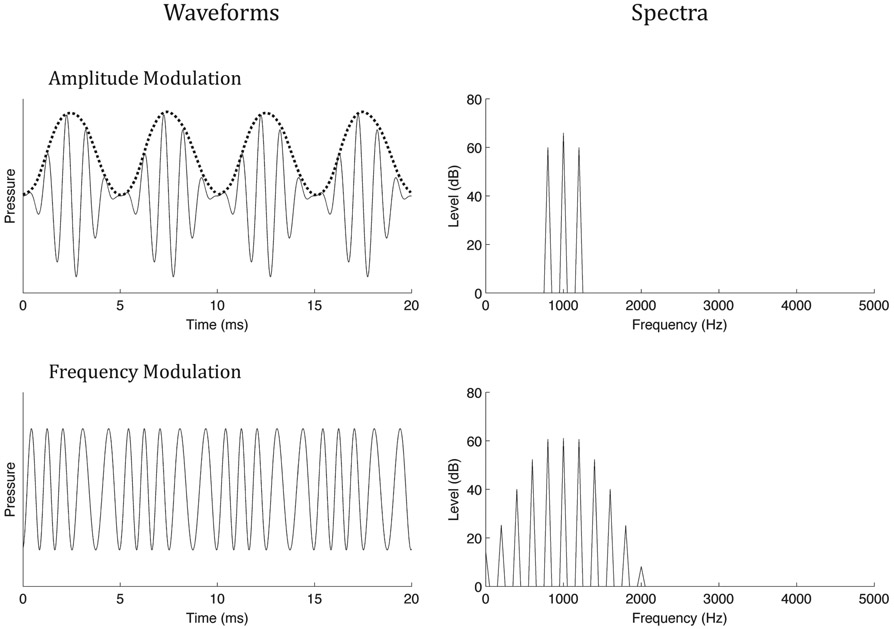 Figure 2.16 The waveforms and spectra of a sinusoidally amplitude-modulated (top panel) and a sinusoidally frequency-modulated (bottom panel) pure tone. In each case, the carrier frequency is 1000 Hz and the modulation frequency is 200 Hz. The envelope of the amplitude-modulated signal is shown by the dotted line.