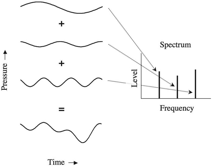 Figure 2.8 An illustration of how complex sound waves can be constructed from pure-tone building blocks. The complex waveform at the bottom is produced by adding together three pure tones with different amplitudes, frequencies, and phases. The frequencies of the pure tones required to produce a given waveform are always integer multiples of the inverse of the duration of the waveform that needs to be produced. For example, if the waveform duration is 100 ms, only pure tones with frequencies that are integer multiples of 10 Hz (10 Hz, 20 Hz, 30 Hz, etc.) are required. The spectrum of the complex waveform, showing the levels of the components as a function of frequency, is shown on the right.