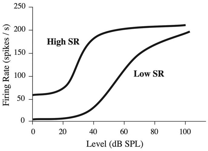 Figure 4.15 An illustration of the relation between the level of a tone at characteristic frequency and firing rate (in spikes per second), for auditory nerve fibers with high (high SR) and low (low SR) spontaneous firing rates. Based (loosely) on recordings from the cat by Sachs and Abbas (1974).