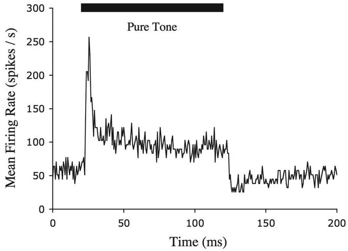 Figure 4.16 A simulation of the activity over time of a high spontaneous rate auditory nerve fiber in response to a 100-ms pure tone (the time course of the tone is indicated by the thick black line above the plot). The vertical scale represents the mean firing rate over 1,500 repetitions of the stimulus.