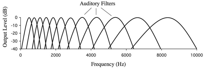 Figure 4.5 A popular model of the cochlea, in which the frequency selectivity of the basilar membrane is represented by an array of overlapping band-pass filters. Each curve shows the relative attenuation characteristics of one auditory filter. The curves to the left show the responses of places near the apex of the cochlea, whereas those to the right show the responses of places near the base. The basilar membrane is effectively a continuous array of filters: many more filters, which are much more tightly spaced, than those in the figure.