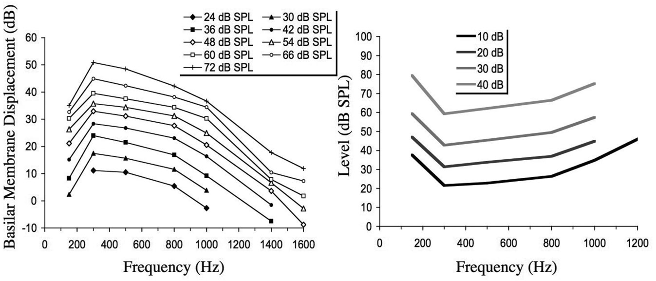 Figure 5.2 Iso-level curves (left panel) and tuning curves (right panel) for a single place at the apex of the basilar membrane of a chinchilla. The iso-level curves show basilar displacement (in decibels relative to 1 nm) as a function of the frequency of a pure tone for various levels of the tone. The tuning curves show the level of a pure tone needed to produce a criterion displacement of the basilar membrane (shown in the legend in decibels relative to 1 nm) as a function of frequency. The plots are based on data from Rhode and Cooper (1996).