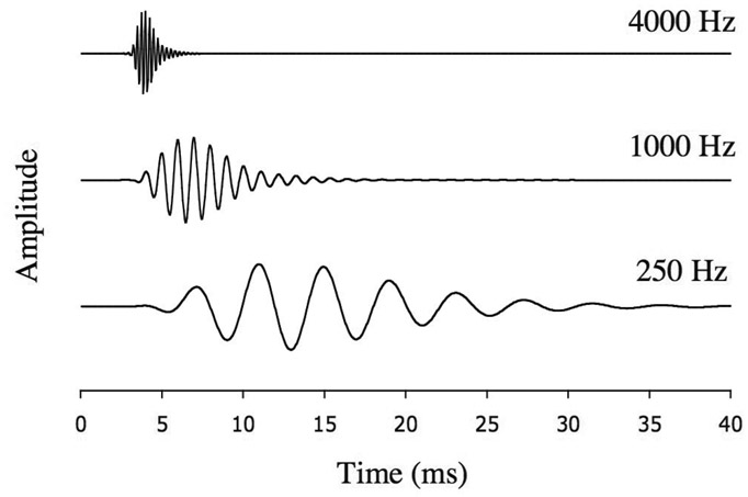 Figure 5.3 A simulation of the pattern of vibration at three places on the basilar membrane in response to a brief impulse (an almost instantaneous rise and fall in pressure). These curves represent the impulse responses of three places on the membrane. The characteristic frequency of each place is indicated on the right. Notice that the period of vibration of the basilar membrane is equal to the period of a pure tone at the characteristic frequency (i.e., one divided by the characteristic frequency).