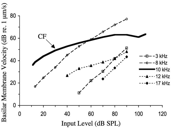 Figure 5.4 The velocity of vibration as a function of input level for a single place on the basilar membrane of a chinchilla in response to pure tones of various frequencies. The characteristic frequency of the place was 10 kHz. Notice that the response to the tone at characteristic frequency is highly compressive at moderate to high input levels (linear growth has a slope of one on these coordinates, as exemplified by the response curves for 3-kHz and 17-kHz pure tones). The data are selected from a study by Ruggero et al. (1997).