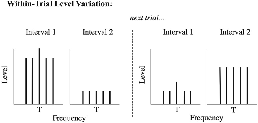 Figure 6.11 A schematic illustration of the spectra of the stimuli in two trials of a typical profile analysis task. The target component is denoted by the “T.” The listener’s task is to pick the observation interval containing the incremented target (interval 1 in both trials here, or it could equally well be interval 2, determined at random). The overall level of the components has been randomized between each interval so that the listener is forced to compare the target level to the level of the other components across frequency. If the listener just chose the interval containing the most intense target, then the listener would pick interval 1 on the first trial (correct) but interval 2 on the second trial (incorrect). Based on a similar figure in Green et al. (1983).