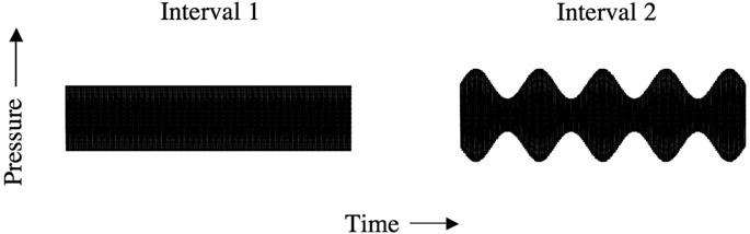 Figure 8.8 The stimuli for a typical modulation detection experiment. The listener’s task is to pick the observation interval that contains the sound with the modulated envelope (in this case, interval 2). The location of the modulation (interval 1 or interval 2) would be randomized from trial to trial.