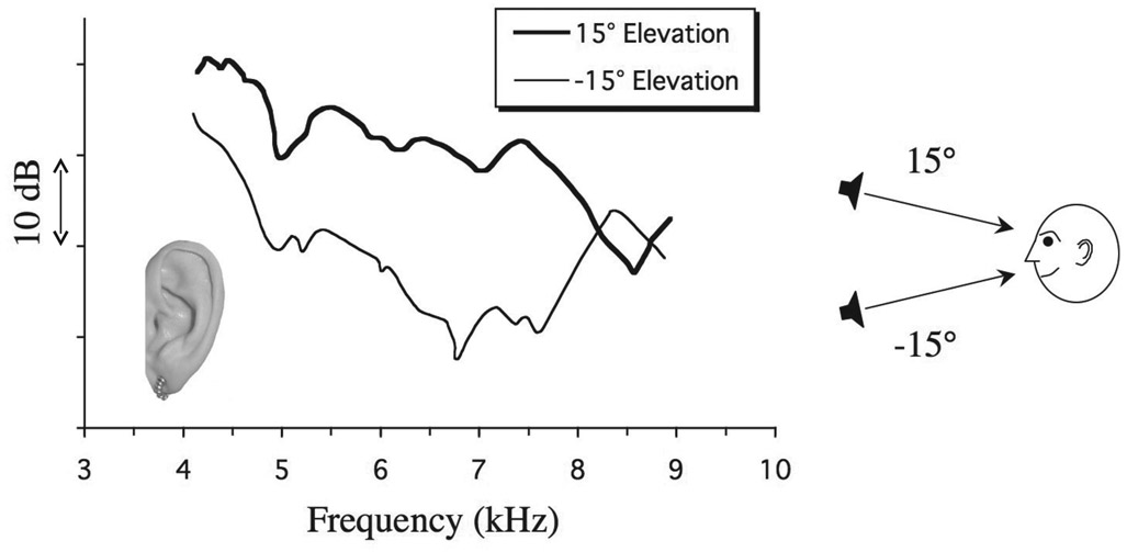 Figure 9.11 Spectra of a broadband noise recorded from a microphone inserted in the left ear canal of a single listener. The noise was presented from a loudspeaker at an elevation of either –15° or 15° relative to the head. The spectra demonstrate the direction-specific filtering properties of the pinna. From Butler and Belendiuk (1977).