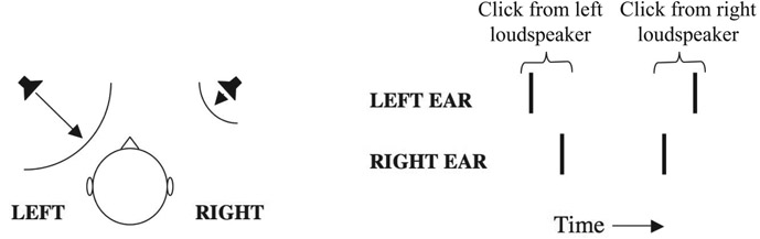 Figure 9.13 A typical experimental configuration for observing the precedence effect. A click from the left loudspeaker arrives at the left ear before the right ear. Subsequently, a click is played from the right loudspeaker and arrives at the right ear before the left ear. If the click from the right loudspeaker is delayed by 1–5 ms, then a single sound source is heard, located in the direction of the left loudspeaker. The auditory system treats the click from the right loudspeaker as a reflection (echo) of the click from the left loudspeaker, and the location information from the second click is suppressed. Based on Litovsky et al. (1999).