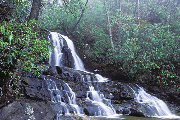 007_hike_sidebar_laurel_falls%20_0866f.tif