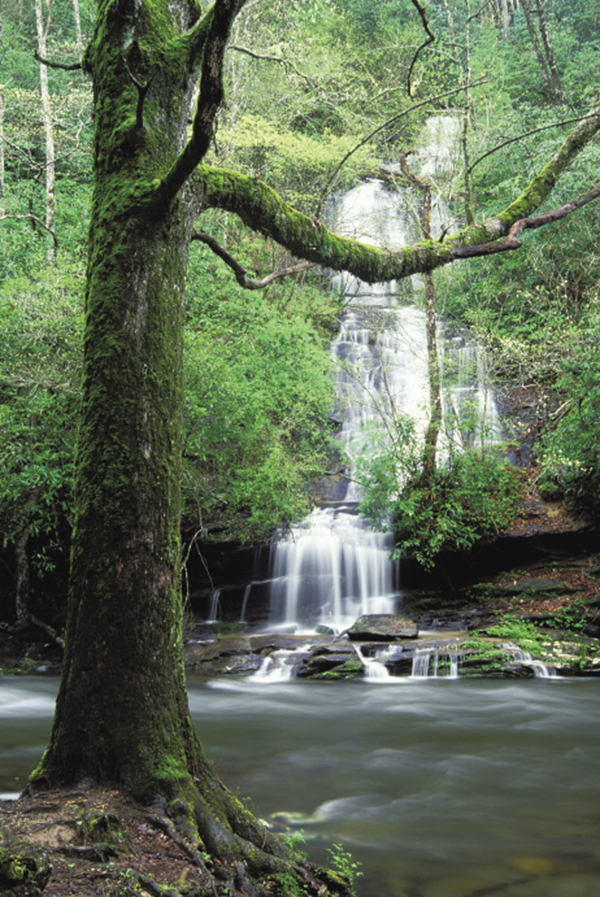 048_056_tom_branch_falls%20_0954f.tif