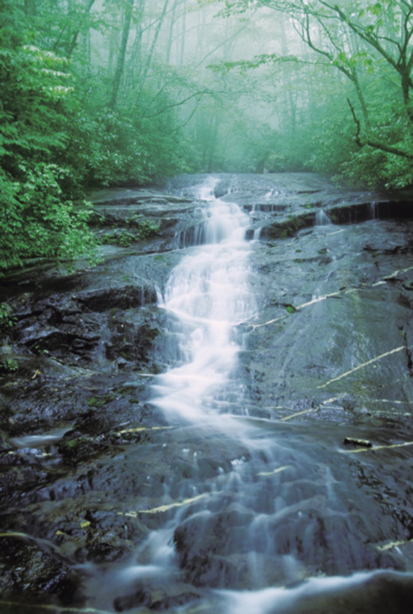 054_forney_creek_cascades_0848f.tif