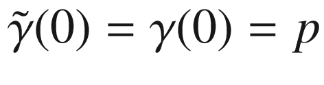 $$\tilde{\gamma }(0)=\gamma (0)=p$$