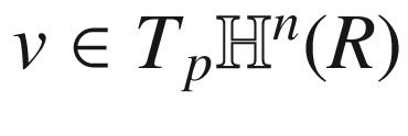 $$v\in T_p \mathbb H^n(R)$$