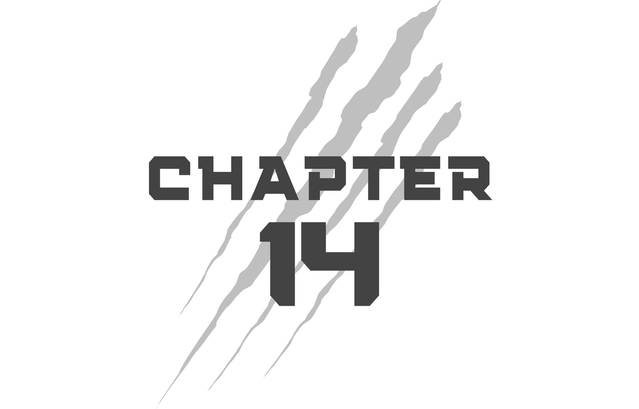 Chapter 14