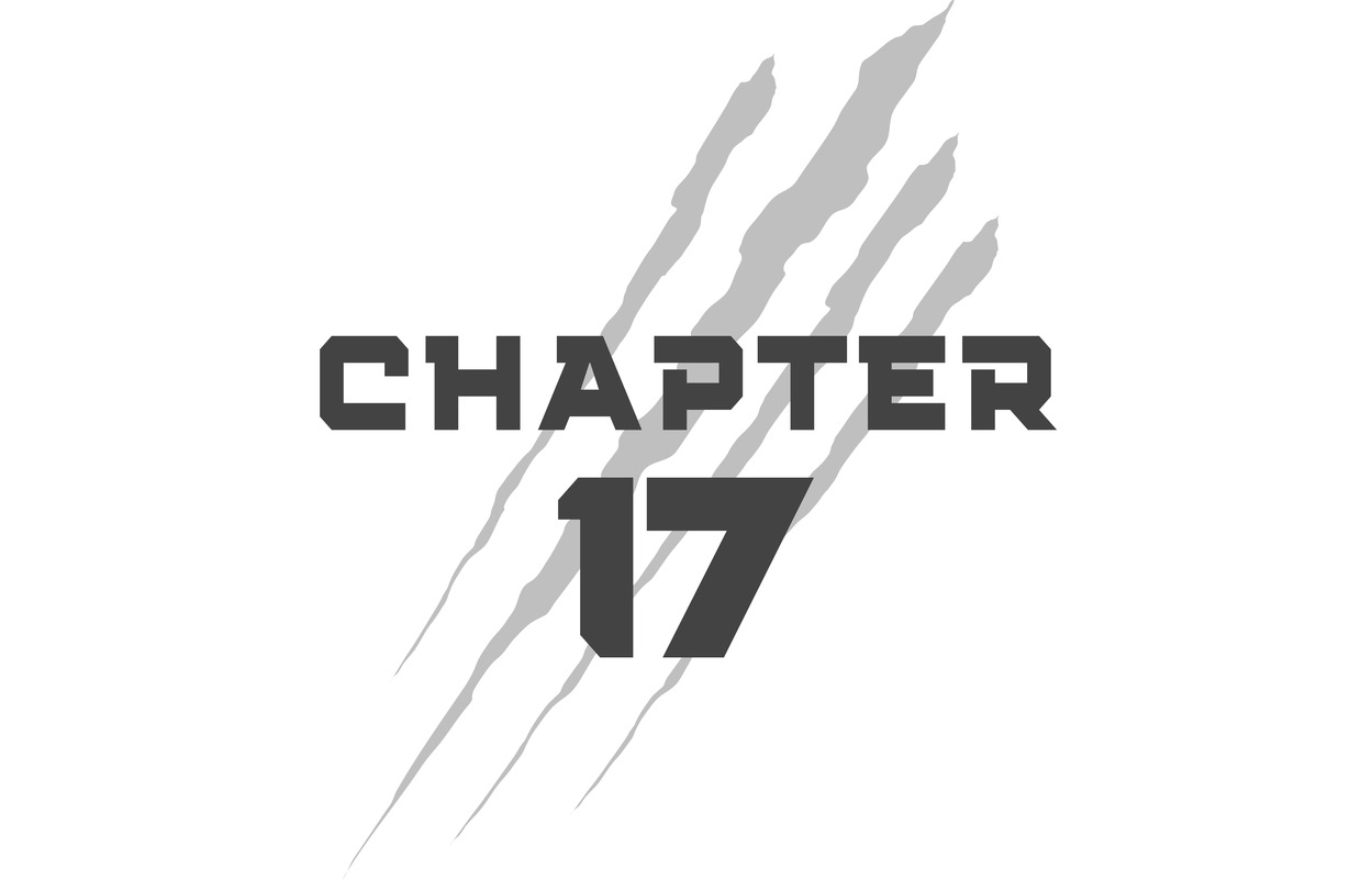 Chapter 17