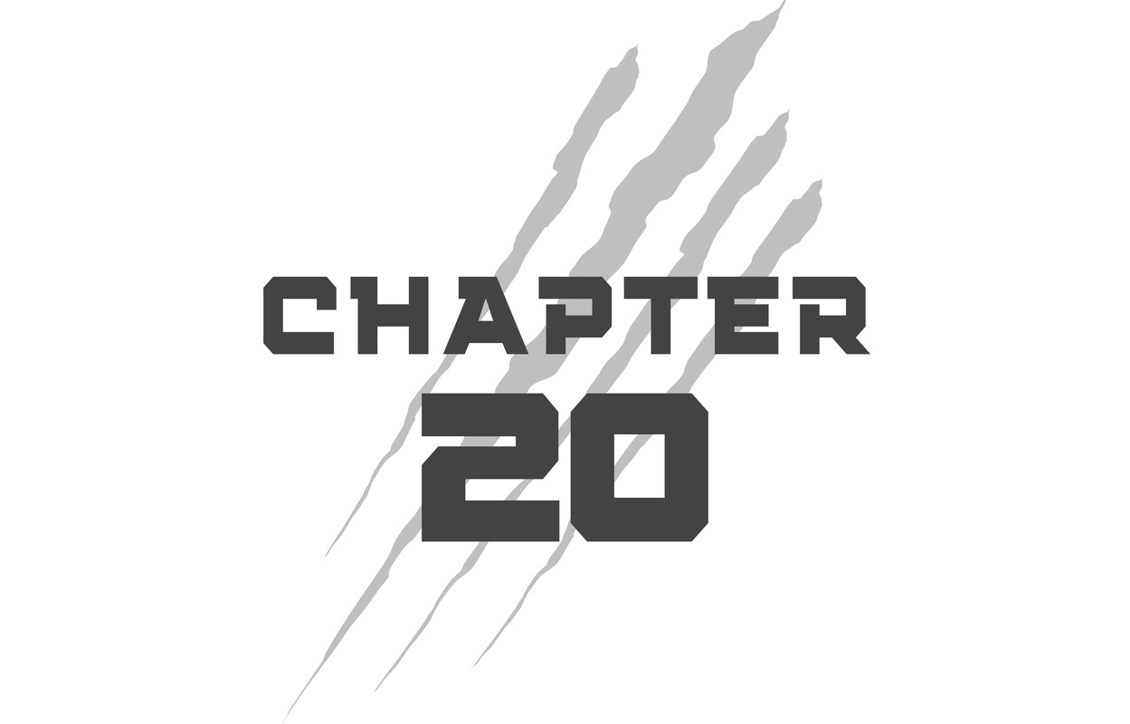 Chapter 20