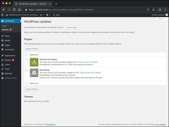 “Screenshot displaying the WordPress Updates screen that provides a quick way to update WordPress, plugins, and themes in one place.”