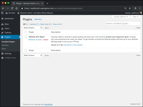 Screenshot of the Network Plugins screen in the WordPress Network Admin Dashboard displaying the description of the Akismet antispam network.