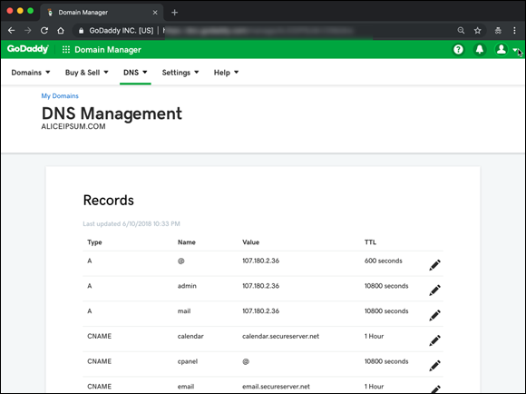 Screenshot of the Domain Manager screen displaying the  domain name records of a mapped domain.