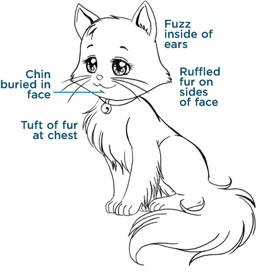 Fuzz inside of ears. Ruffled fur on sides of face. Tuft of fur at chest. Chin buried in face.