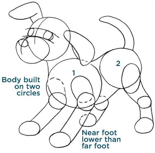 Body built on two circles. Near foot lower than far foot.