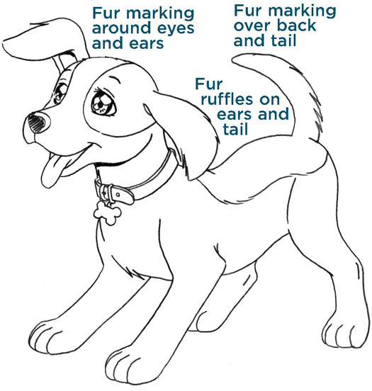 Fur marking around eyes and ears. Fur marking over back and tail. Fur ruffles on ears and tail.