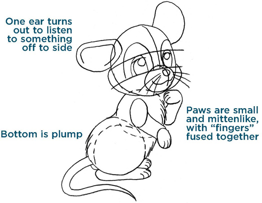 One ear turns out to listen to something off to side. Paws are small and mittenlike, with “fingers” fused together. Bottom is plump.