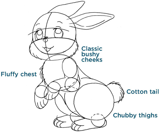 Classic bushy cheeks. Fluffy chest. Cotton tail. Chubby thighs.