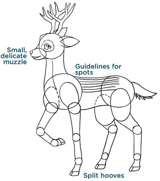 Small, delicate muzzle. Guidelines for spots. Split hooves.