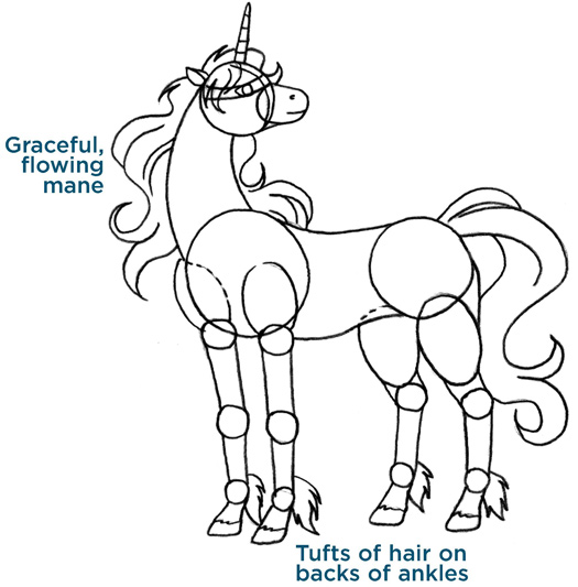 Graceful, flowing mane. Tufts of hair on backs of ankles.