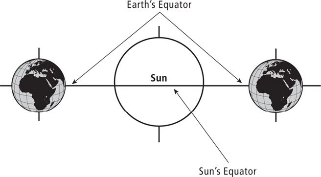 Figure_5.tif