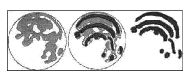 Plate%2015.eps