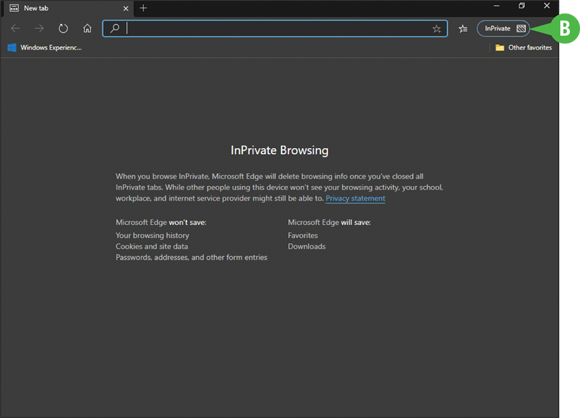 Snapshot of a new Microsoft Edge window with the icon for the inprivate indicator.