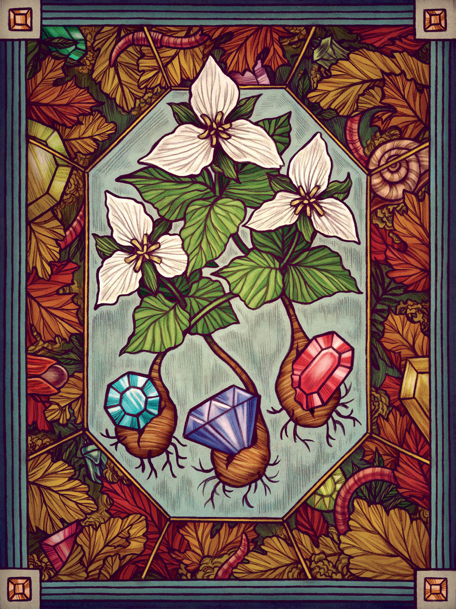 The artwork for the Trillium card, featuring three trillium flowers with a different gemstone emerging from each of their rhizomes.