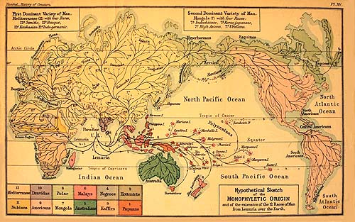 Hypothetical Sketch of the Monophyletic Origin of Man