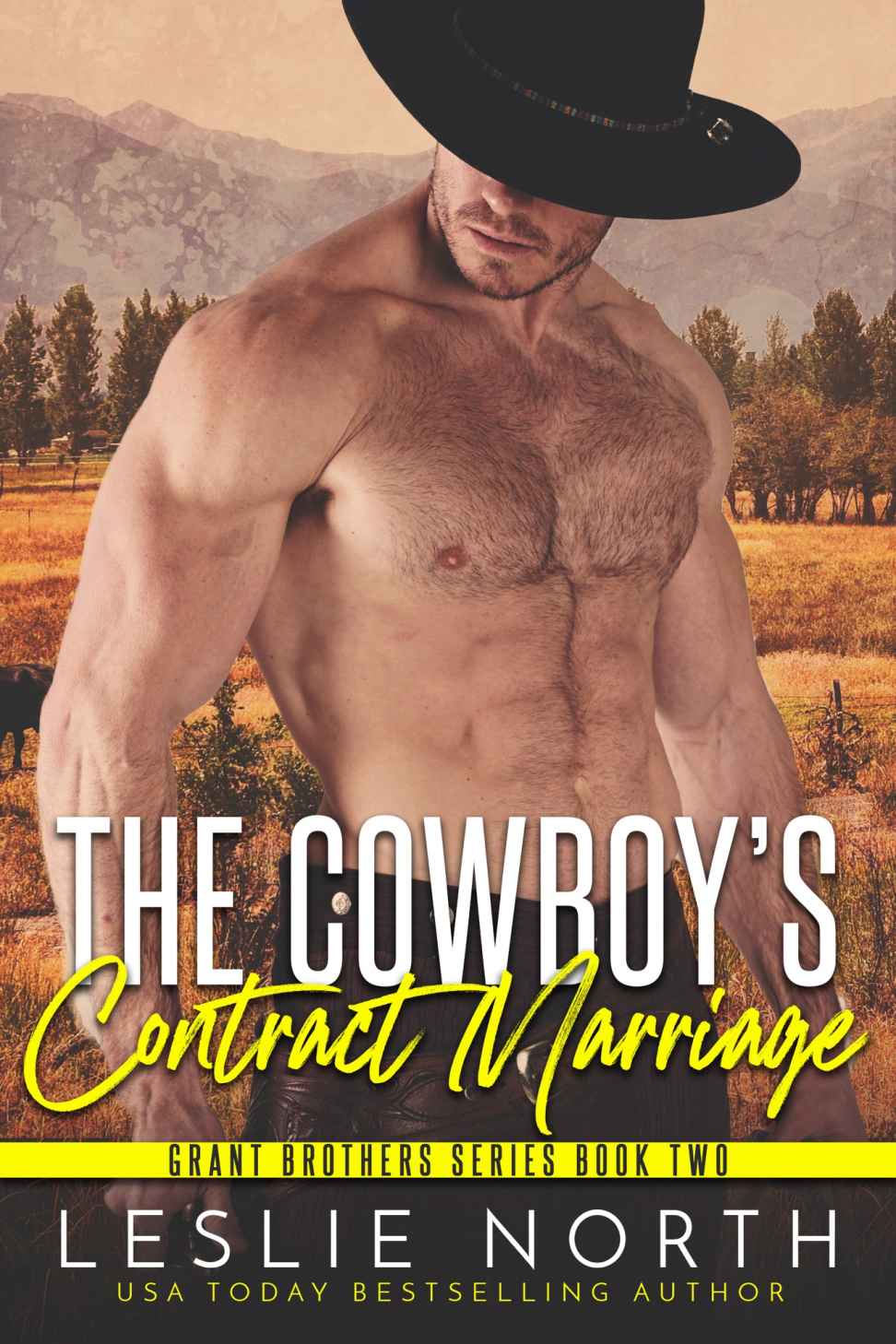 The Cowboy’s Contract Marriage