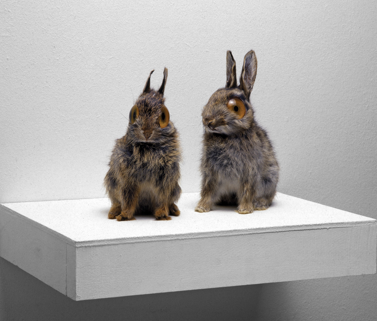 1996_Untitled-(rabbits).jpg