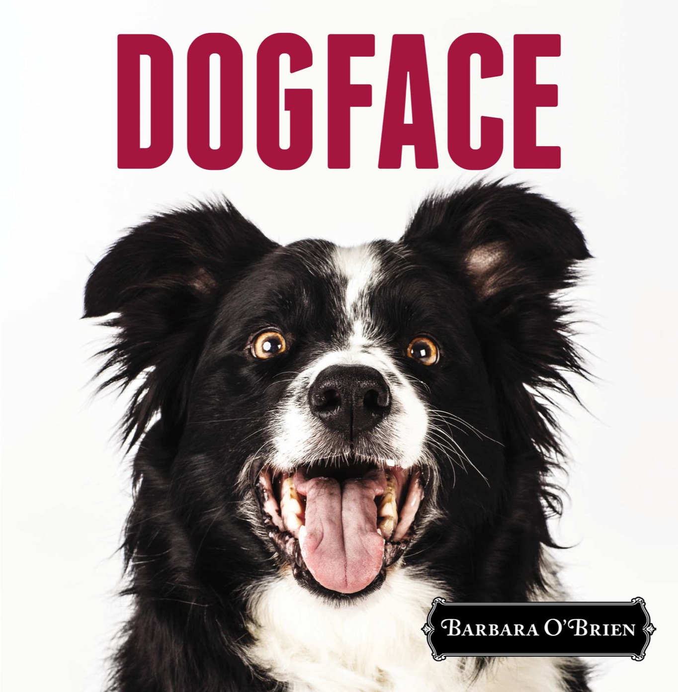 Cover for DogFace