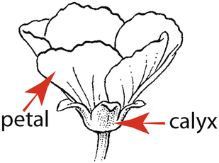 ../images/126542_3_En_1_Chapter/126542_3_En_1_Figf_HTML.png