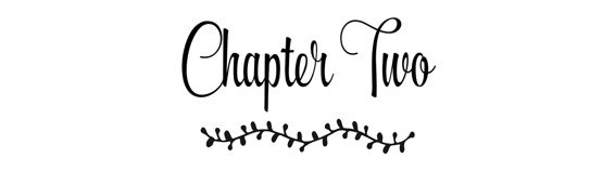 Chapter 2