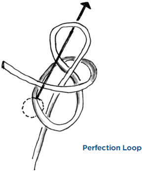 Perfection Loop