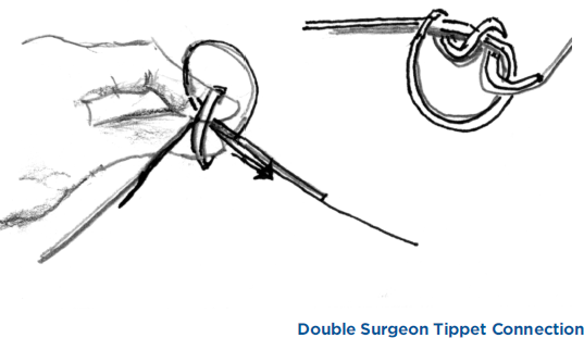 Double Surgeon Tippet Connection