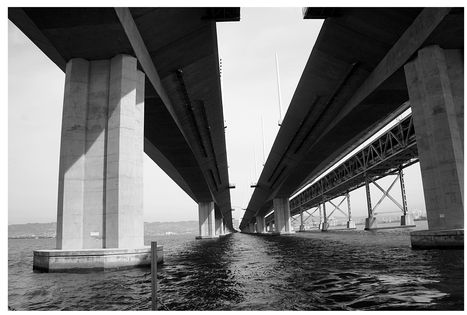 Figure 9.3. Cormorant nesting 'condos' on the metal shelving under the new East Span.